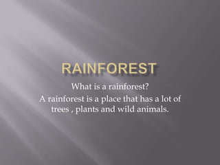 What is a rainforest?
A rainforest is a place that has a lot of
   trees , plants and wild animals.
 