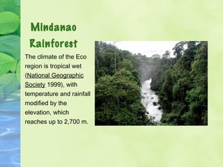 Mindanao 
Rainforest 
The climate of the Eco 
region is tropical wet 
(National Geographic 
Society 1999), with 
temperatu...