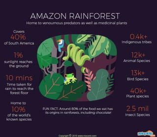 Amazon Rainforest Facts – Mocomi Kids