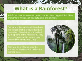 Exploring the Vital Role and Layers of Tropical Rainforests | PPTX