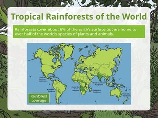 Exploring the Vital Role and Layers of Tropical Rainforests | PPTX
