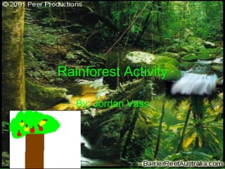 Rainforest Activity By: Jordan Vass 