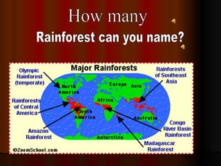 How many  Rainforest can you name? 