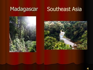 Madagascar Southeast Asia 