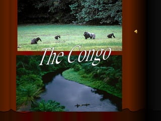The Congo 