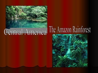 Central America  The Amazon Rainforest 