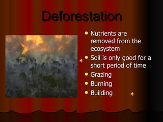 Deforestation Nutrients are removed from the ecosystem Soil is only good for a short period of time Grazing Burning Building 