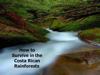 How to Survive in the Costa Rican Rainforests   
