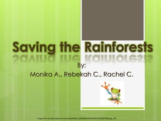 Saving the Rainforests
                By:
  Monika A., Rebekah C., Rachel C.




    Image found via http://static.wix.com/media/bfed0d_0b80e83f81f8ca2039471a435fd7589a.jpg_128
 