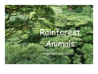 Rainforest Animals PowerPoint by Karen Cox 