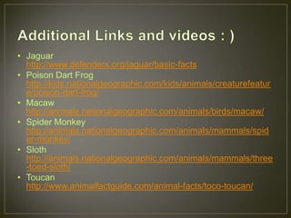 • Jaguar
http://www.defenders.org/jaguar/basic-facts
• Poison Dart Frog
http://kids.nationalgeographic.com/kids/animals/creaturefeatur
e/poison-dart-frog/
• Macaw
http://animals.nationalgeographic.com/animals/birds/macaw/
• Spider Monkey
http://animals.nationalgeographic.com/animals/mammals/spid
er-monkey/
• Sloth
http://animals.nationalgeographic.com/animals/mammals/three
-toed-sloth/
• Toucan
http://www.animalfactguide.com/animal-facts/toco-toucan/
 