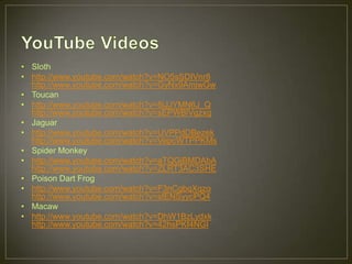 • Sloth
• http://www.youtube.com/watch?v=NO5sSDIVnr8
http://www.youtube.com/watch?v=GyNx9AmjwGw
• Toucan
• http://www.youtube.com/watch?v=8iJJYMN6J_Q
http://www.youtube.com/watch?v=sEPWBlVgzxg
• Jaguar
• http://www.youtube.com/watch?v=UVPPdDBezek
http://www.youtube.com/watch?v=VepcWTPPKMs
• Spider Monkey
• http://www.youtube.com/watch?v=aTQGjBMDAbA
http://www.youtube.com/watch?v=ZLRT3AC3SHE
• Poison Dart Frog
• http://www.youtube.com/watch?v=F3nCgbqXqzo
http://www.youtube.com/watch?v=sfENSyycPQ4
• Macaw
• http://www.youtube.com/watch?v=DhW1BzLydxk
http://www.youtube.com/watch?v=42hsPKf4NGI
 