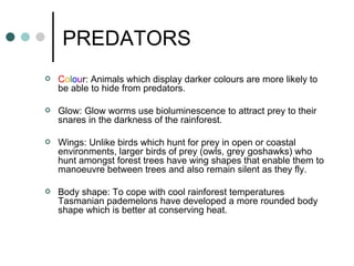 PREDATORS C o l o u r: Animals which display darker colours are more likely to be able to hide from predators.  Glow: Glow worms use bioluminescence to attract prey to their snares in the darkness of the rainforest. Wings: Unlike birds which hunt for prey in open or coastal environments, larger birds of prey (owls, grey goshawks) who hunt amongst forest trees have wing shapes that enable them to manoeuvre between trees and also remain silent as they fly.  Body shape: To cope with cool rainforest temperatures Tasmanian pademelons have developed a more rounded body shape which is better at conserving heat. 