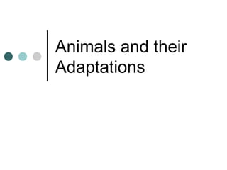 Animals and their
Adaptations
 