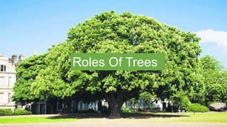 Rainforest biomes and characteristic | PPTX