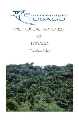 THE TROPICAL RAINFOREST

            OF

       TOBAGO:

       The Main Ridge
 