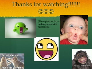 Thanks for watching!!!!!!!

(These pictures have
nothing to do with
rainforests)
 