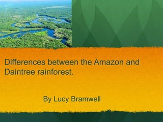 Differences between the Amazon and
Daintree rainforest.
By Lucy Bramwell
 