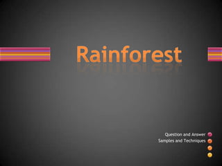 Rainforest   Question and Answer  Samples and Techniques 