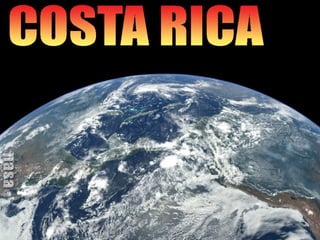The Rainforest in Costa Rica