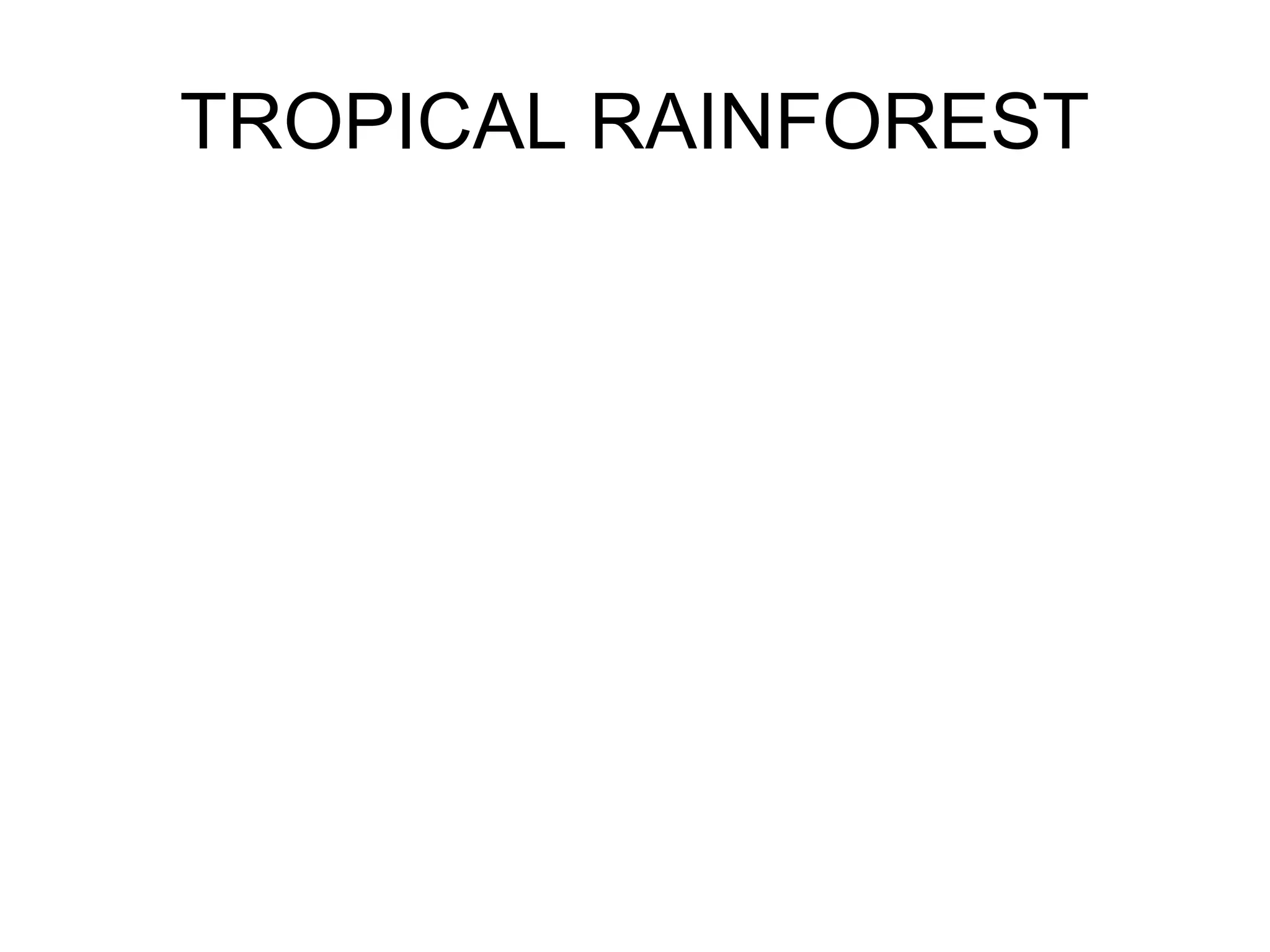 TROPICAL RAINFOREST
