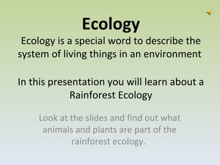 Ecology Ecology is a special word to describe the system of living things in an environment  In this presentation you will learn about a Rainforest Ecology Look at the slides and find out what animals and plants are part of the rainforest ecology.  
