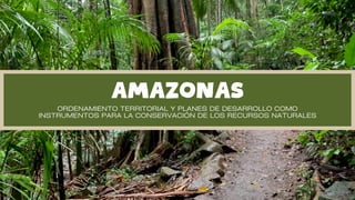 Amazonas Territorial Planning and Development for Natural Resource ...