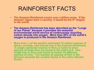 RAINFOREST FACTS The Amazon Rainforest covers over a billion acres.  If the Amazon region were a country, it would be the 9 th  largest in the world. The Amazon Rainforest has been described as the “Lungs of our Planet” because it provides the essential environmental world service of continuously recycling carbon dioxide into oxygen.  More than 20% of the world’s oxygen is produced in the Amazon Rainforest. More than ½ of the world’s estimated 10 million species of plants, animals, and insects live in the tropical rainforests.  A single rainforest reserve in Peru is home to more species of birds than are found in the entire U.S.  One single tree in Peru was found to harbor 43 different species of ants.  The number of species of fish in the Amazon exceeds the number found in the entire Atlantic Ocean. 