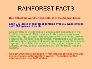 One-fifth of the world’s fresh water is in the Amazon basin. Each 2 ½  acres of rainforest contains over 750 types of trees and 1500 species of plants. At least 80% of the developed world’s diet originated in the tropical rainforest.  This includes fruits such as avocados, coconuts, figs, oranges, lemons, grapefruit, bananas, guavas, pineapples, mangos, and tomatoes; vegetables such as corn, potatoes, rice, squash, and yams; spices such as black pepper, cayenne, chocolate, cinnamon, cloves, ginger, sugar cane, tumeric, coffee, vanilla, and nuts such as the Brazil nut and cashew. At least 3000 fruits are found in rainforests; of these only 200 are now in use in the Western World.  The Indians of the rainforest use over 2000 of them. RAINFOREST FACTS 
