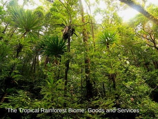 The Tropical Rainforest Biome: Goods and Services 