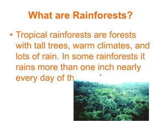 What are Rainforests?
• Tropical rainforests are forests
  with tall trees, warm climates, and
  lots of rain. In some rai...