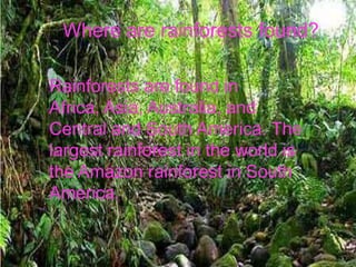 Where are rainforests found?

Rainforests are found in
Africa, Asia, Australia, and
Central and South America. The
largest...
