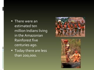 There were an estimated ten million Indians living in the Amazonian Rainforest five centuries ago.  Today there are less than 200,000. 