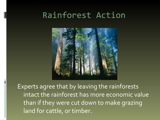 Rainforest Action Experts agree that by leaving the rainforests intact the rainforest has more economic value than if they were cut down to make grazing land for cattle, or timber.  