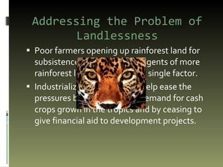 Addressing the Problem of Landlessness Poor farmers opening up rainforest land for subsistence farming are the agents of more rainforest loss than any other single factor.  Industrialized countries can help ease the pressures by reducing their demand for cash crops grown in the tropics and by ceasing to give financial aid to development projects.  