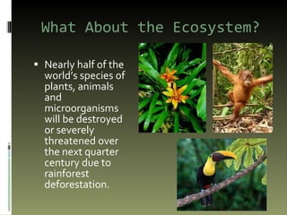 What About the Ecosystem? Nearly half of the world’s species of plants, animals and microorganisms will be destroyed or severely threatened over the next quarter century due to rainforest deforestation. 