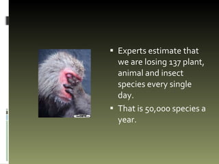 Experts estimate that we are losing 137 plant, animal and insect species every single day.  That is 50,000 species a year. 