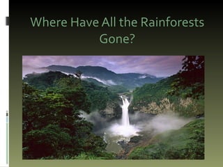 Where Have All the Rainforests Gone? 
