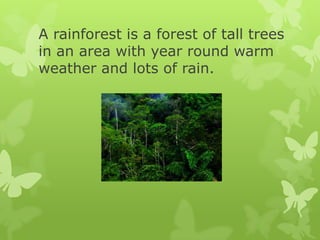 Rainforest power point for 7th grade students.