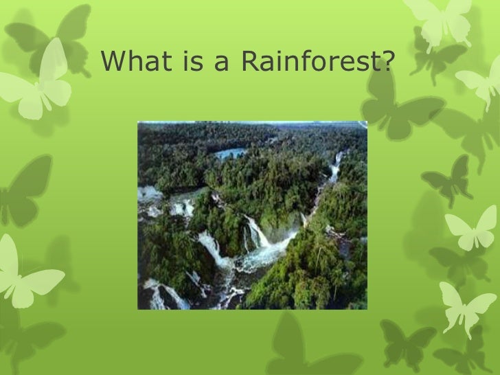 rainforest powerpoint