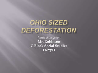 Jamie Margeson
    Mr. Robinson
C Block Social Studies
       11/29/11
 
