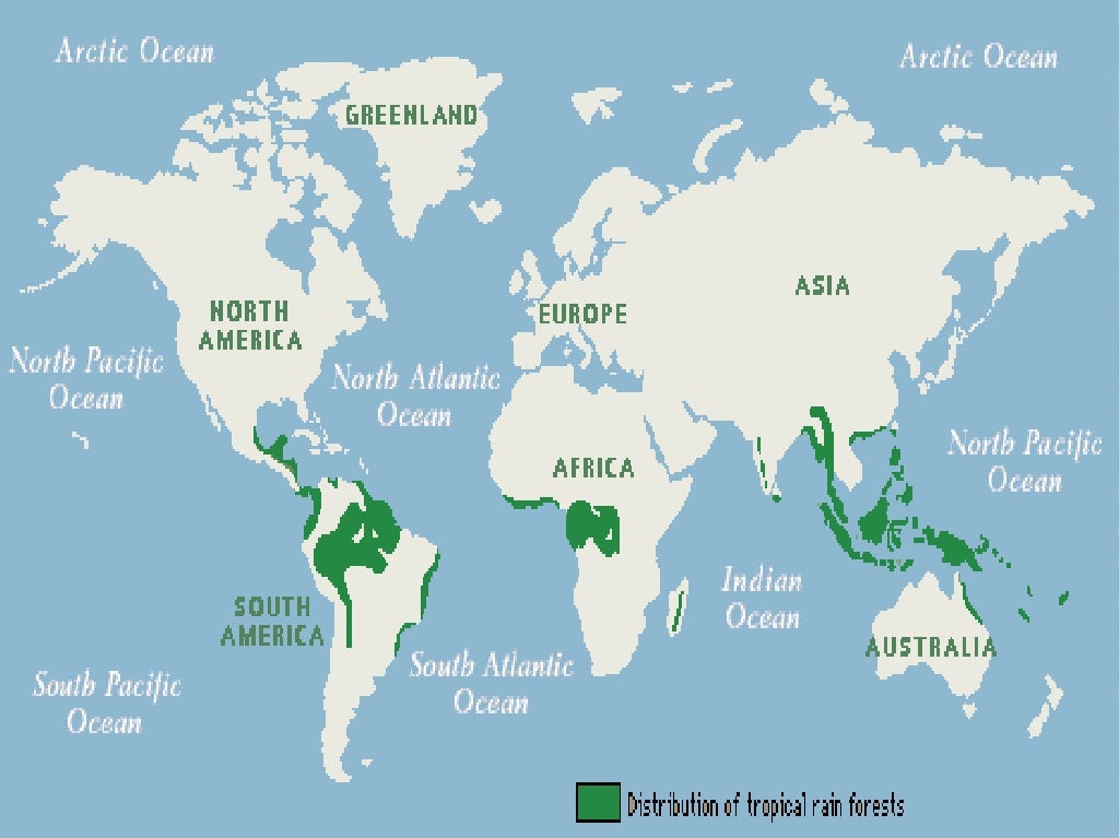 Map Showing Tropical Rainforests | Images and Photos finder