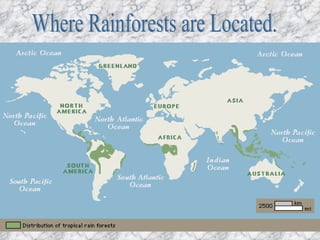 Where Rainforests are Located. 