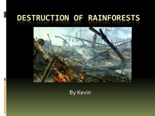 DESTRUCTION OF RAINFORESTS




           By Kevin
 