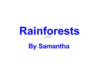 Rainforests By Samantha   