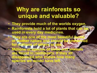 Why are rainforests so unique and valuable? They provide much of the worlds oxygen. Rainforests hold a lot of plants that can be used in every day medicines. They are one of the most beautiful forms of mother nature and should be preserved for millions of others to see. Millions of species of birds and animals are found in rainforests. If they all disappeared who knows how many species we would have left. 