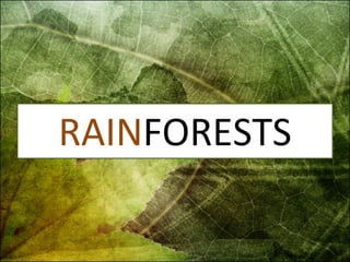 RAIN FORESTS 