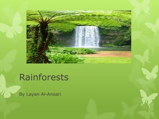 Rainforests
By Layan Al-Ansari
 