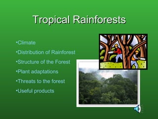 Tropical RainforestsTropical Rainforests
•Climate
•Distribution of Rainforest
•Structure of the Forest
•Plant adaptations
•Threats to the forest
•Useful products
 