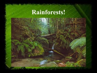Rainforests!
 